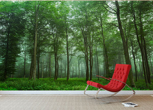 Forest View Wall Mural Wallpaper - Canvas Art Rocks - 2