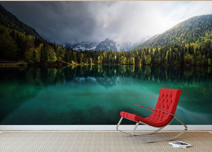 Menta Wall Mural Wallpaper - Canvas Art Rocks - 2