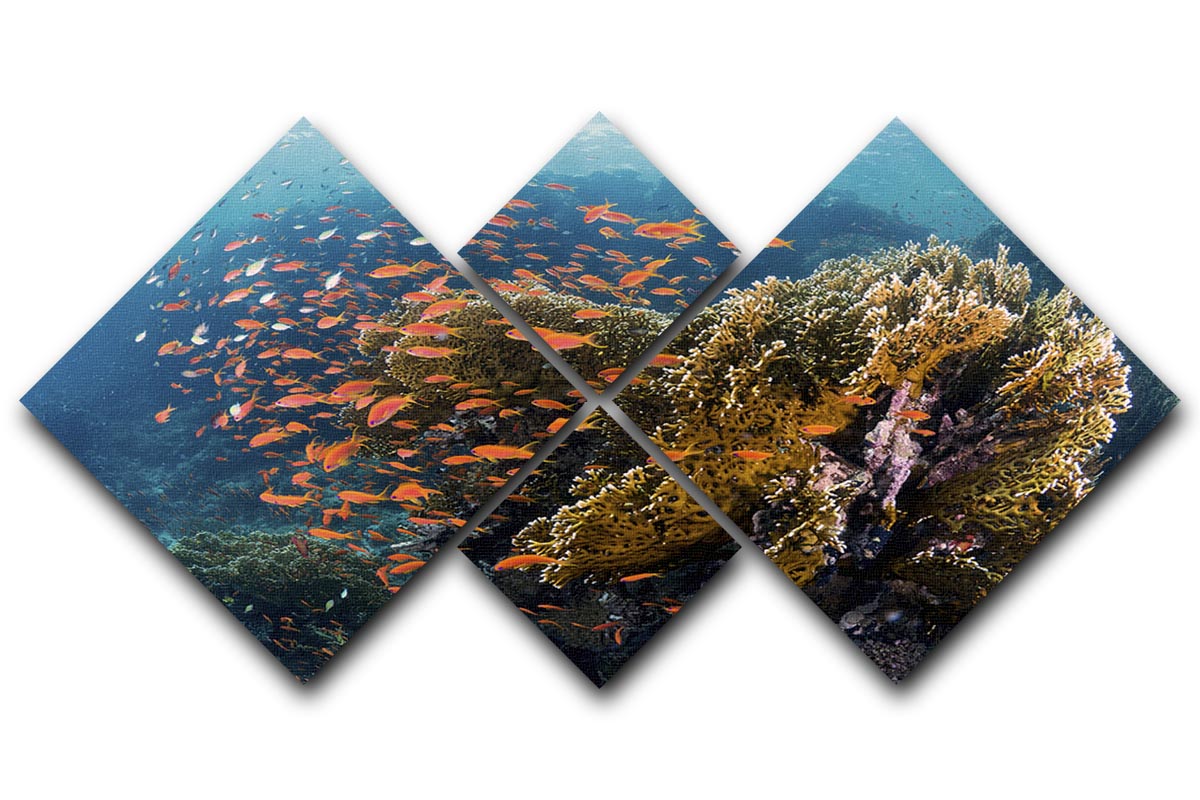 Reefscape 4 Square Multi Panel Canvas - Canvas Art Rocks - 1