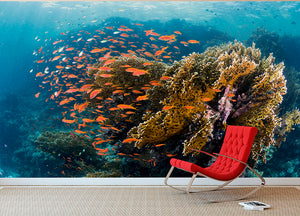 Reefscape Wall Mural Wallpaper - Canvas Art Rocks - 2