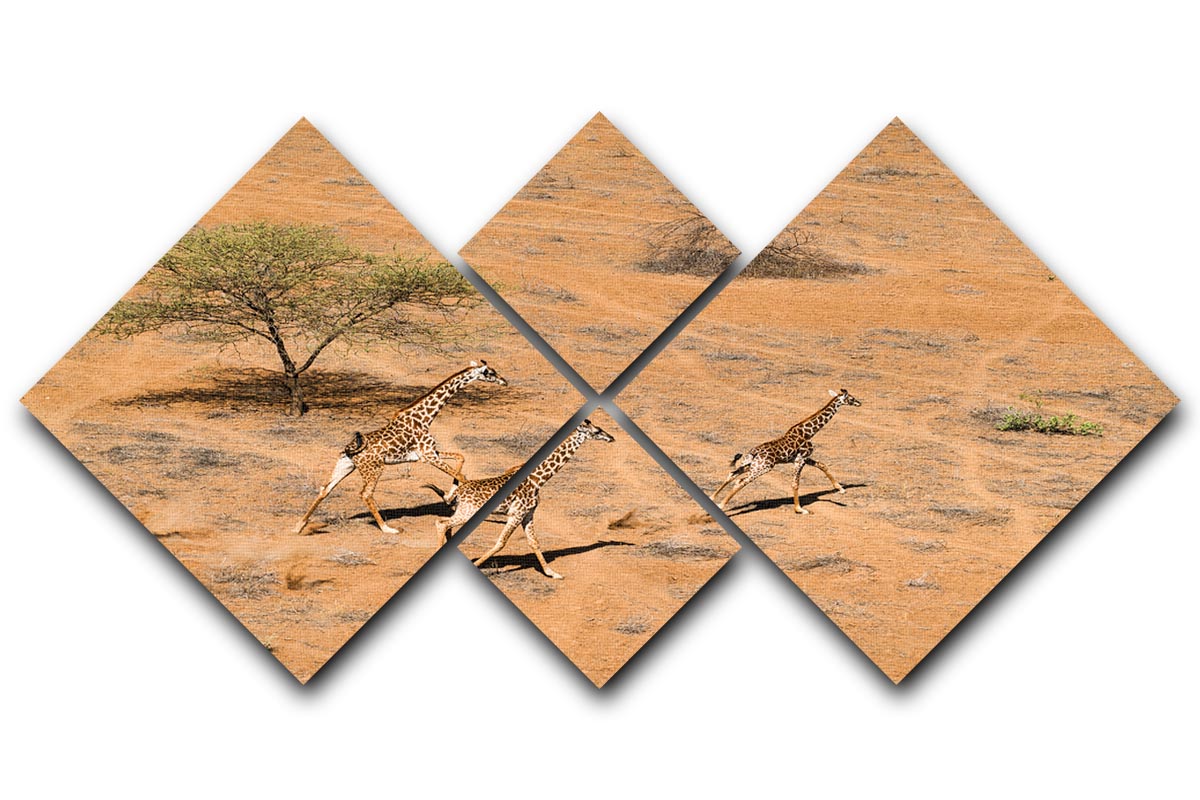 Giraffe Family Paradise 4 Square Multi Panel Canvas - Canvas Art Rocks - 1