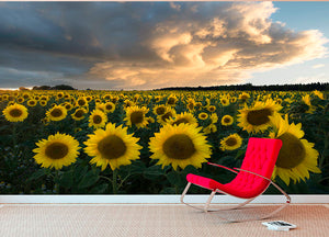 Sunflowers In Sweden Wall Mural Wallpaper - Canvas Art Rocks - 2