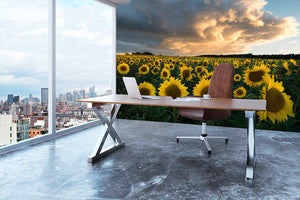 Sunflowers In Sweden Wall Mural Wallpaper - Canvas Art Rocks - 3