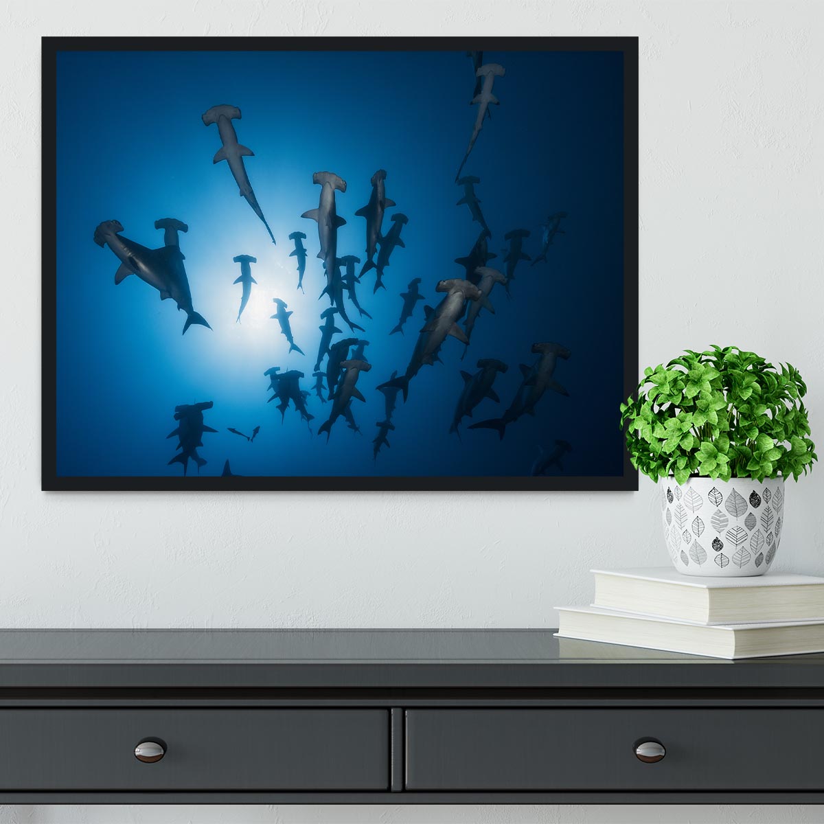 Hammerhead Shark 2 Framed Print - Canvas Art Rocks - 2