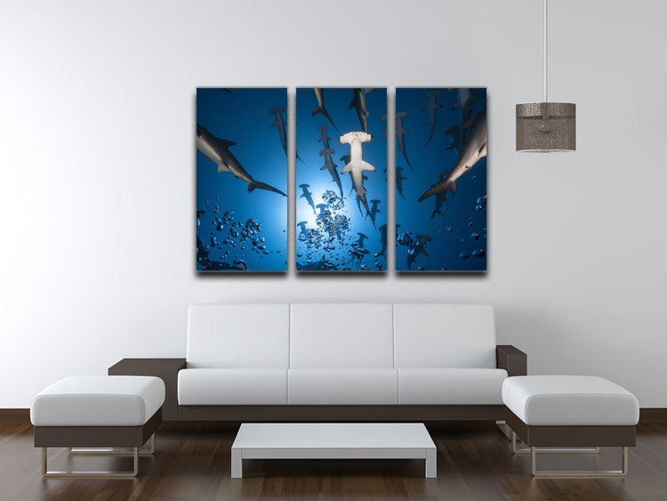 Hammerhead Shark 3 Split Panel Canvas Print - Canvas Art Rocks - 3
