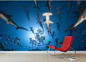 Hammerhead Shark Wall Mural Wallpaper - Canvas Art Rocks - 2