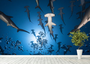 Hammerhead Shark Wall Mural Wallpaper - Canvas Art Rocks - 4