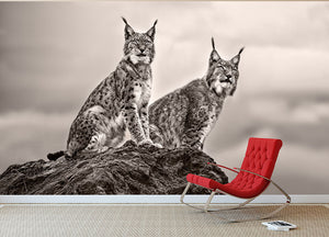 Two Lynx on rock Wall Mural Wallpaper - Canvas Art Rocks - 2