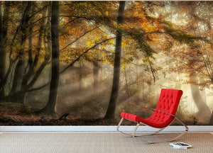 The Lights Of The Forest Wall Mural Wallpaper - Canvas Art Rocks - 2