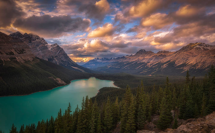 Peyto Lake At Dusk Wall Mural Wallpaper