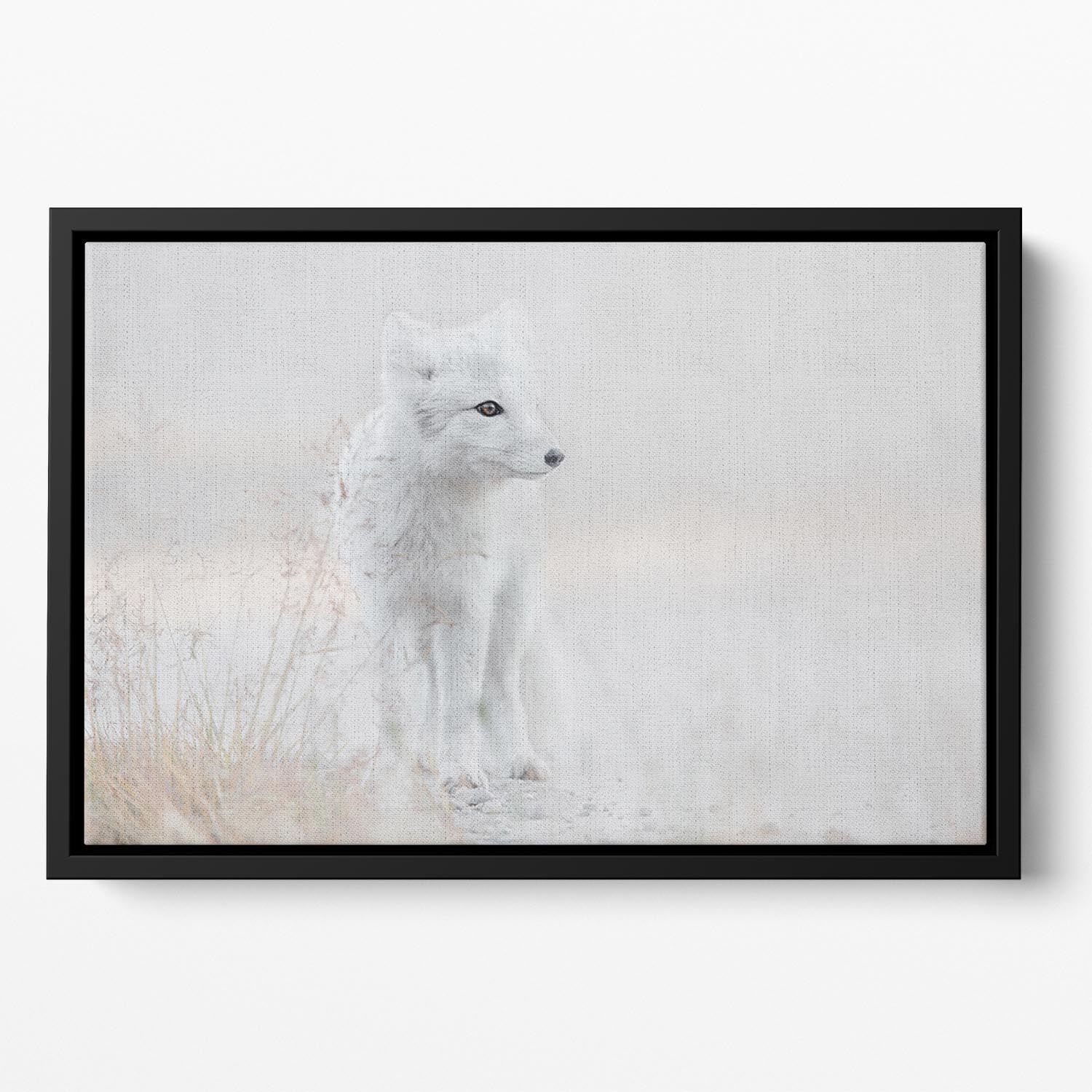 Fox Looking around Floating Framed Canvas - Canvas Art Rocks - 2