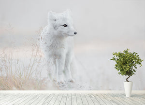 Fox Looking around Wall Mural Wallpaper - Canvas Art Rocks - 4