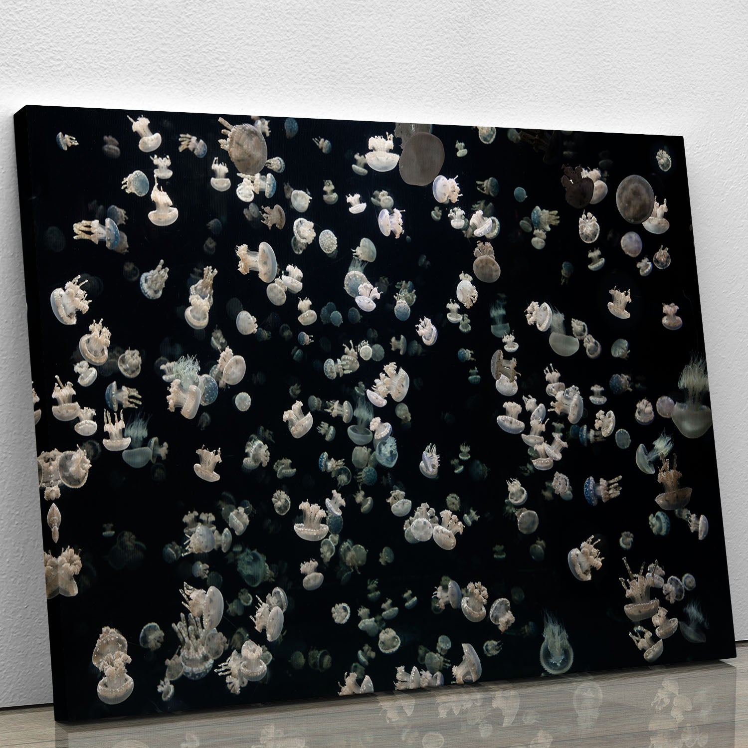 Just Some Jellies Canvas Print or Poster - Canvas Art Rocks - 1