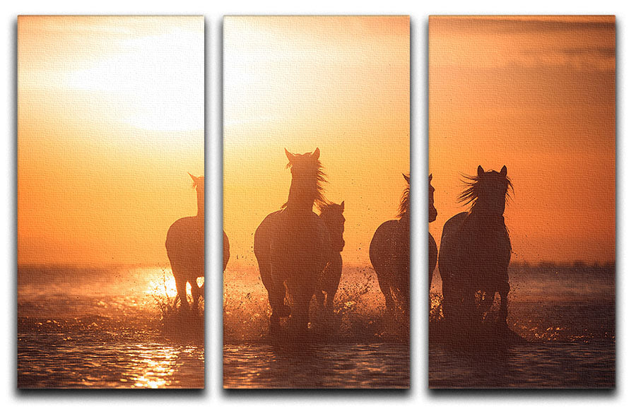 Horse Camargue angels 3 Split Panel Canvas Print - Canvas Art Rocks - 1