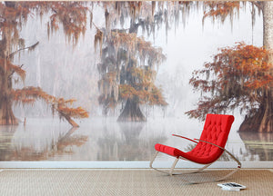 Mysty Bayou Wall Mural Wallpaper - Canvas Art Rocks - 2