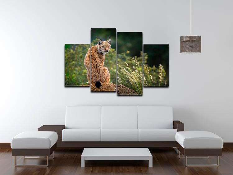 Lynx 4 Split Panel Canvas - Canvas Art Rocks - 3