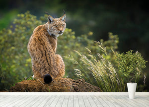 Lynx Wall Mural Wallpaper - Canvas Art Rocks - 4