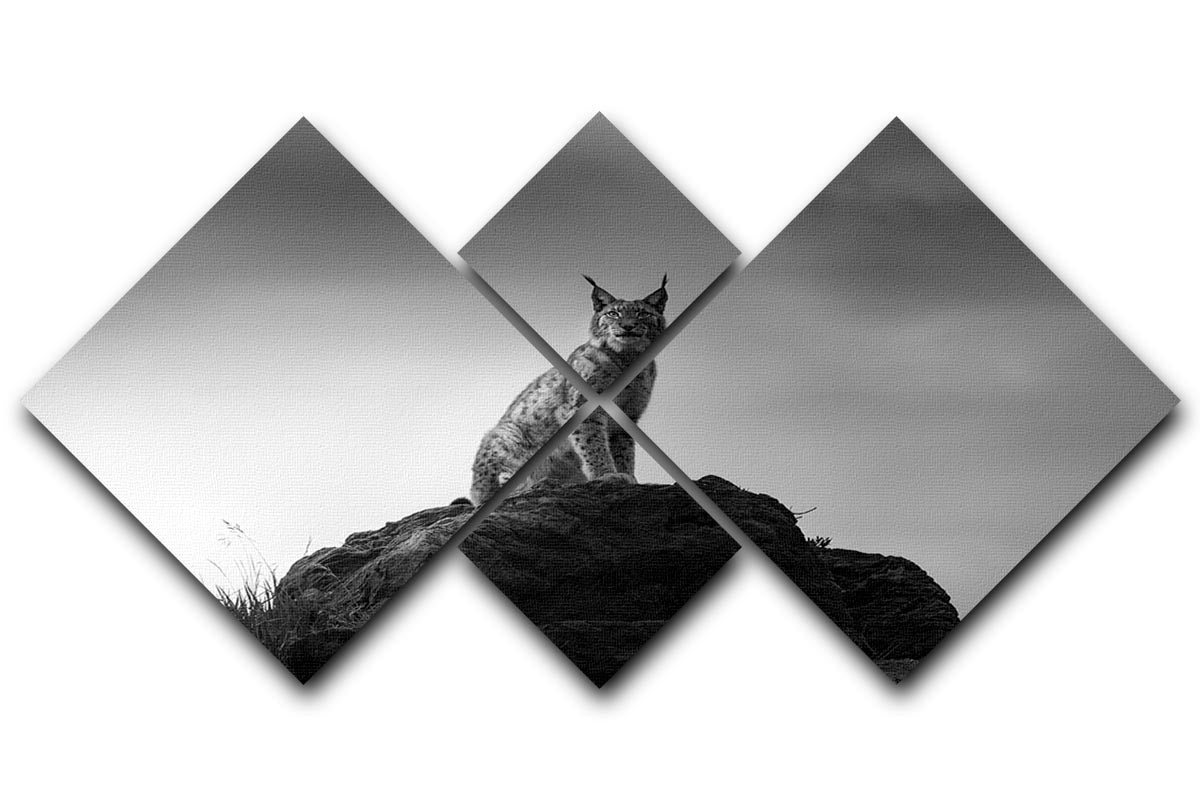 Lynx drama 4 Square Multi Panel Canvas - Canvas Art Rocks - 1