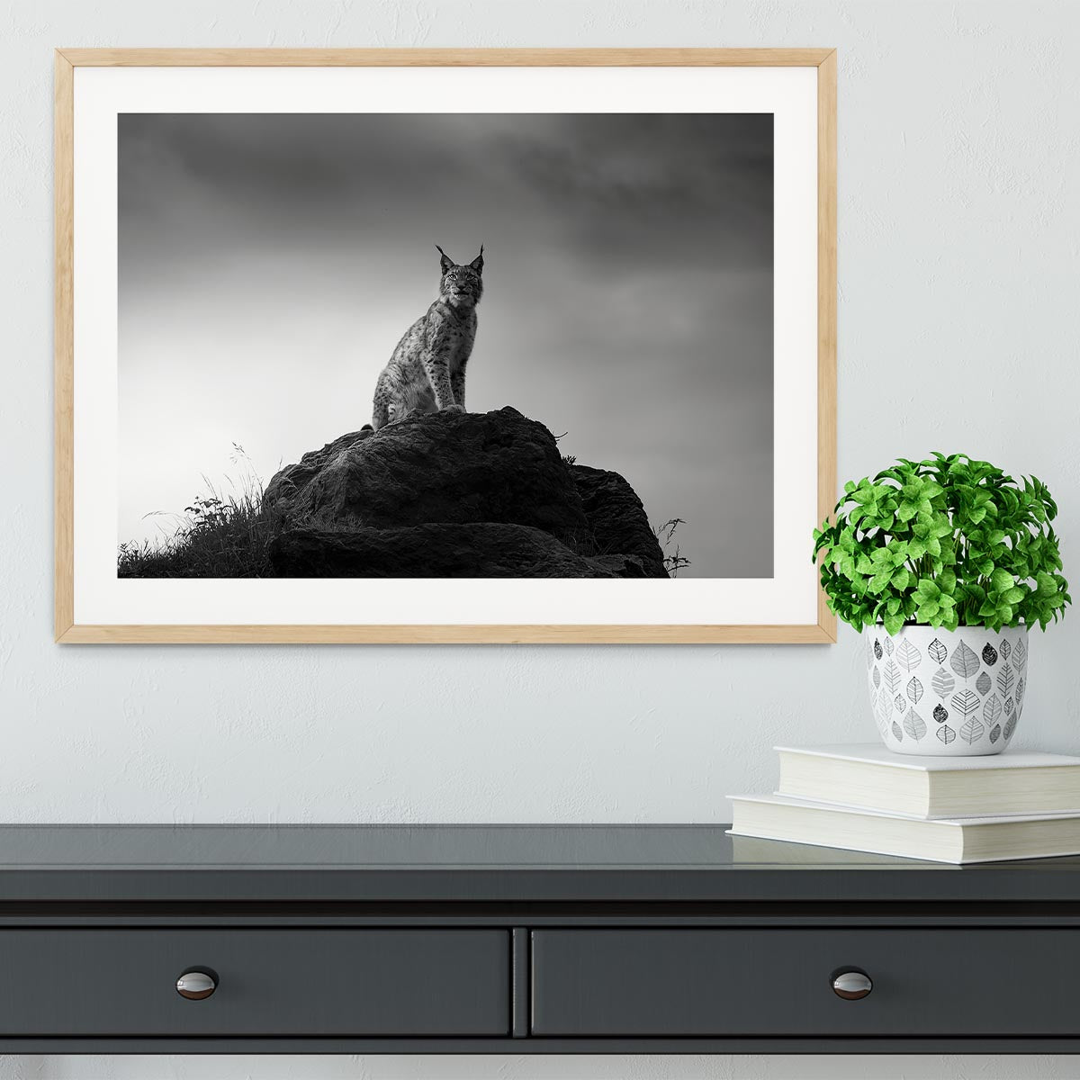 Lynx drama Framed Print - Canvas Art Rocks - 3