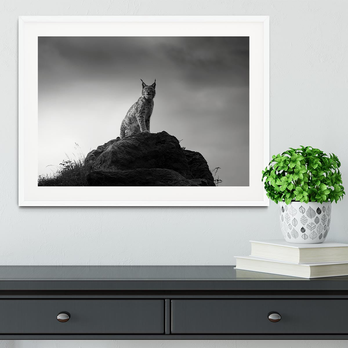 Lynx drama Framed Print - Canvas Art Rocks - 5