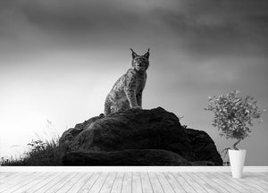 Lynx drama Wall Mural Wallpaper - Canvas Art Rocks - 4