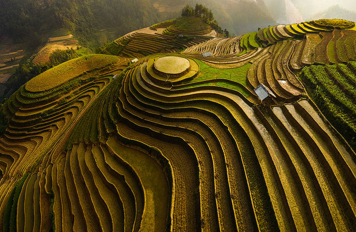 Mu Cang Chai Vietnam Wall Mural Wallpaper