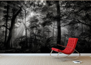 Primary Forest Wall Mural Wallpaper - Canvas Art Rocks - 2