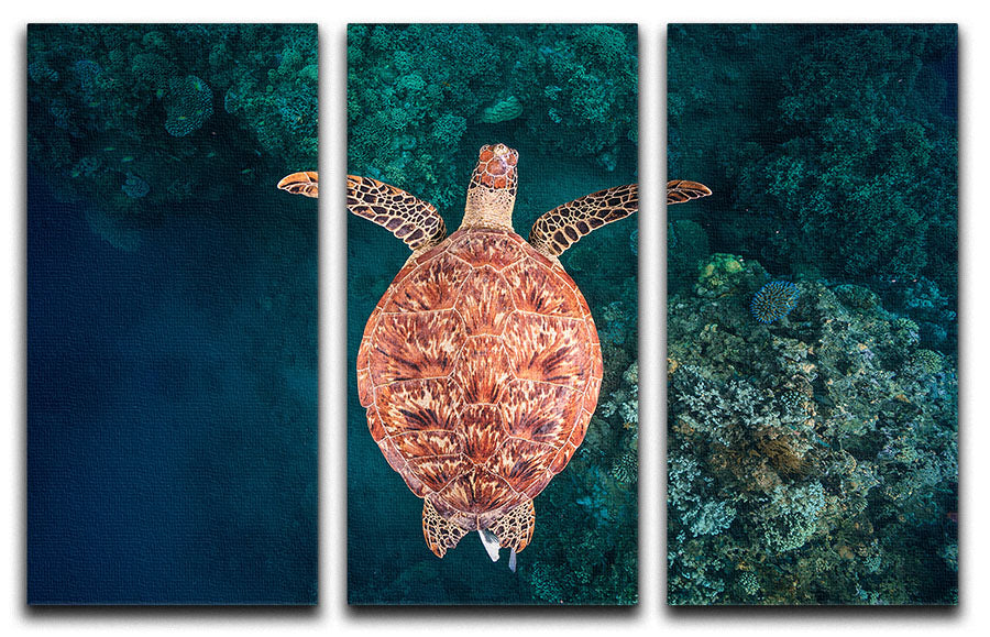 Flying Over The Reef 3 Split Panel Canvas Print - Canvas Art Rocks - 1