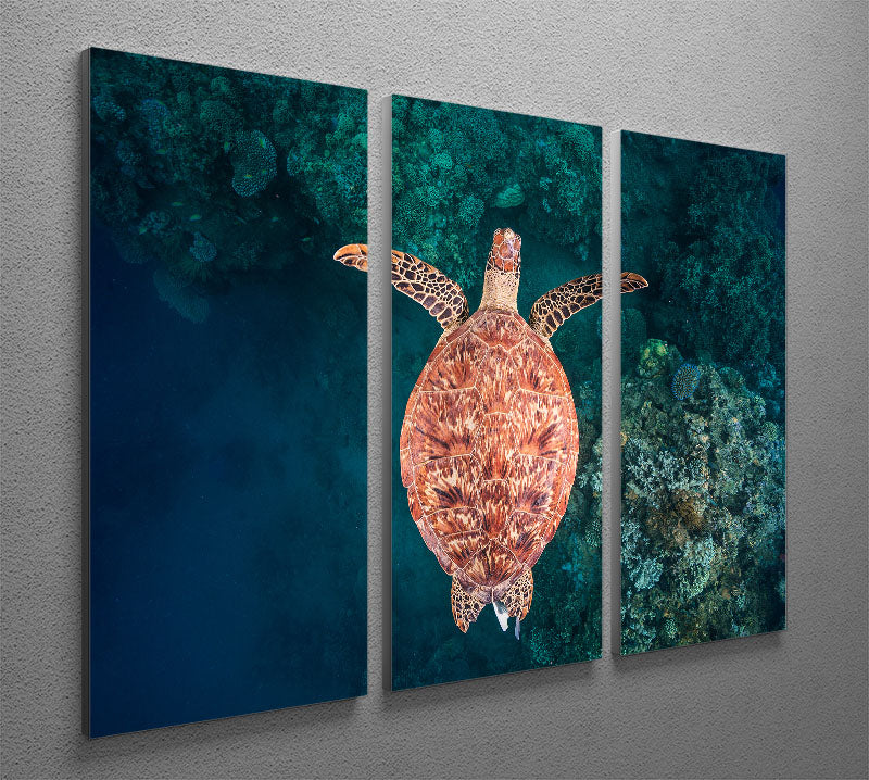 Flying Over The Reef 3 Split Panel Canvas Print - Canvas Art Rocks - 2