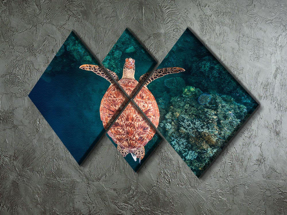 Flying Over The Reef 4 Square Multi Panel Canvas - Canvas Art Rocks - 2
