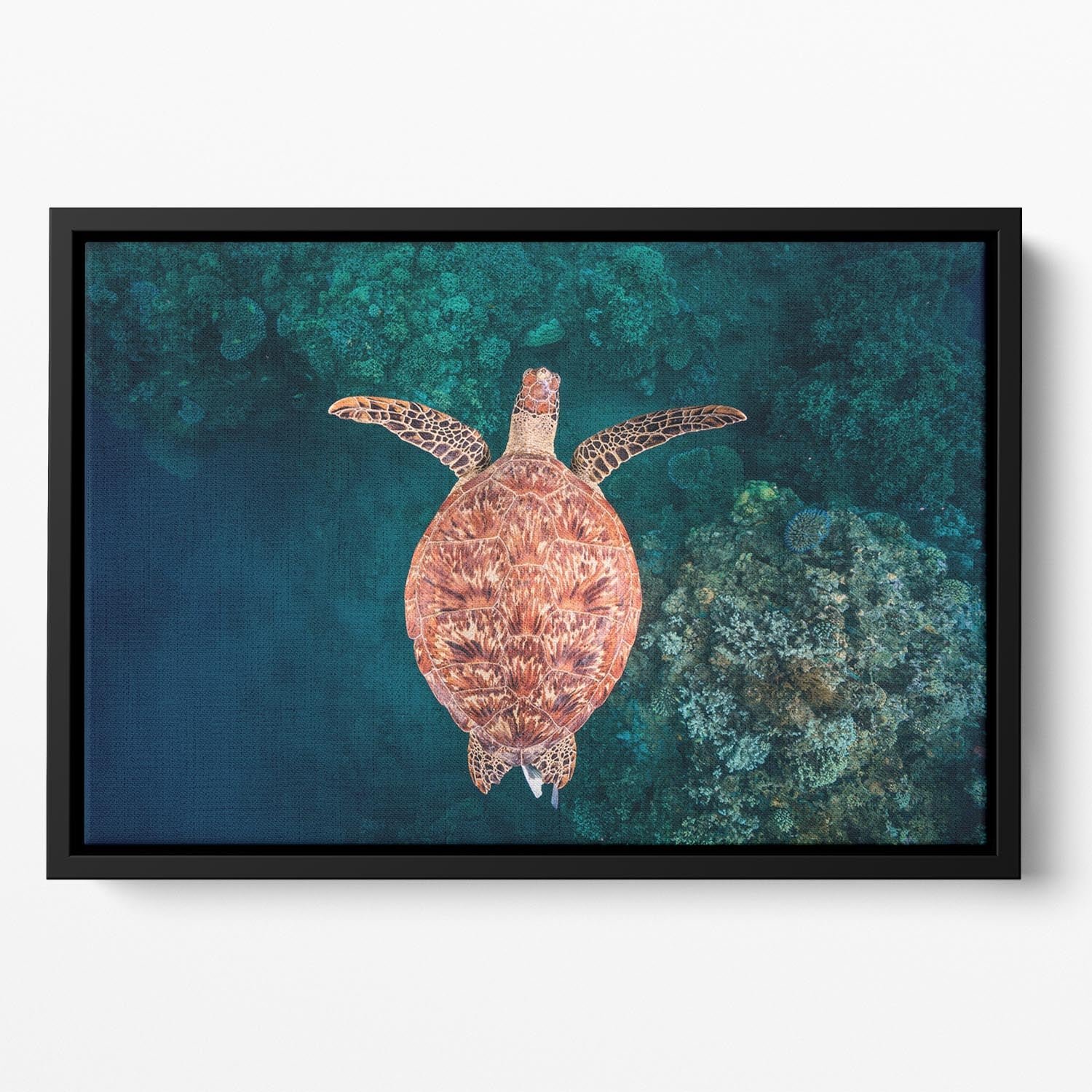 Flying Over The Reef Floating Framed Canvas - Canvas Art Rocks - 2