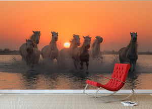 Horses Sunset in Camargue Wall Mural Wallpaper - Canvas Art Rocks - 2