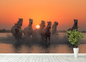 Horses Sunset in Camargue Wall Mural Wallpaper - Canvas Art Rocks - 4