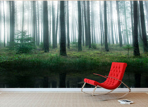 Lake In Forest Wall Mural Wallpaper - Canvas Art Rocks - 2