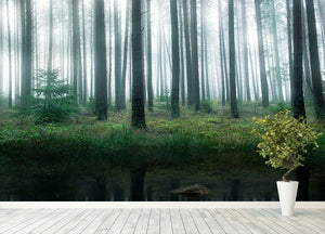 Lake In Forest Wall Mural Wallpaper - Canvas Art Rocks - 4