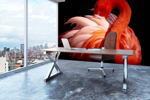 flamingo Close Up Wall Mural Wallpaper - Canvas Art Rocks - 3