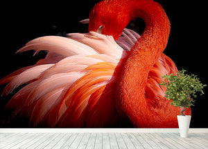 flamingo Close Up Wall Mural Wallpaper - Canvas Art Rocks - 4