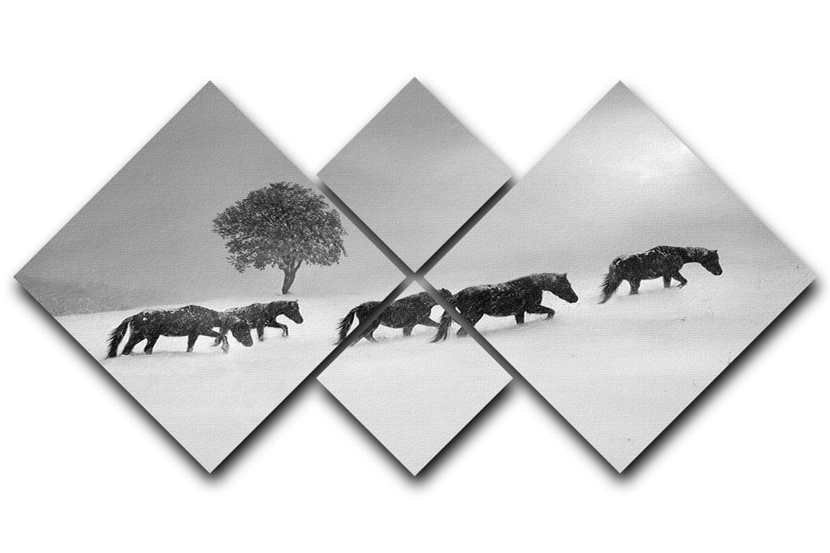 Icelandic Horses 4 Square Multi Panel Canvas - Canvas Art Rocks - 1