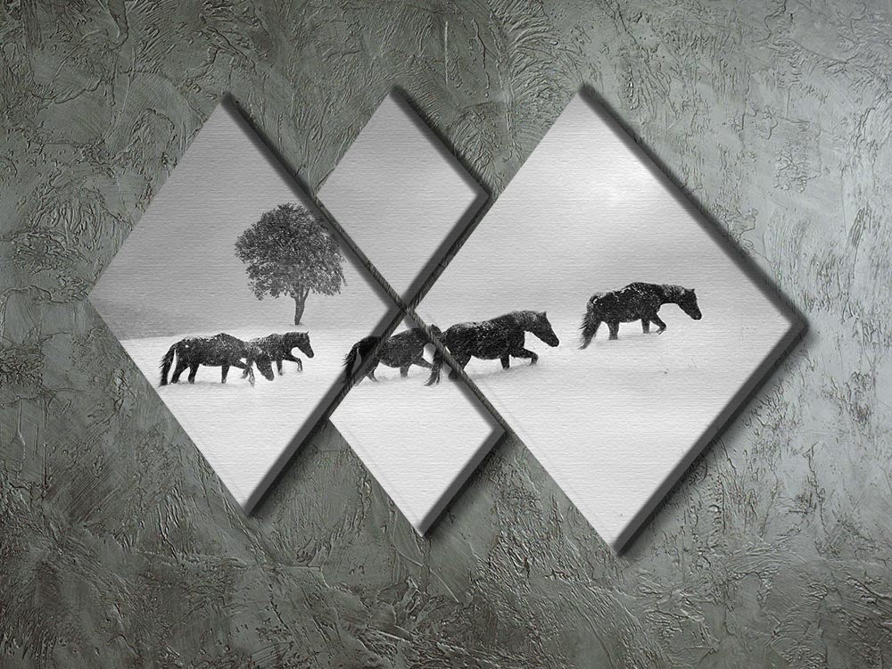 Icelandic Horses 4 Square Multi Panel Canvas - Canvas Art Rocks - 2