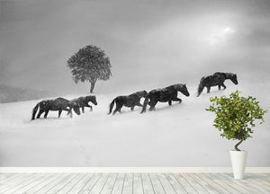 Icelandic Horses Wall Mural Wallpaper - Canvas Art Rocks - 4