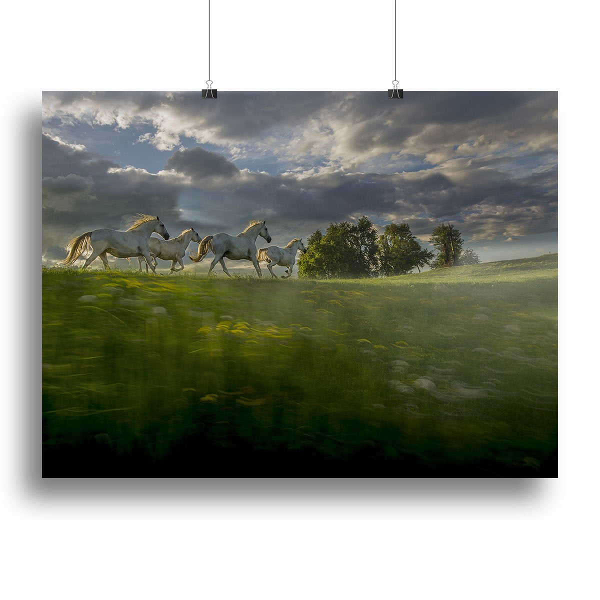 Galloping Horses Canvas Print or Poster - Canvas Art Rocks - 2
