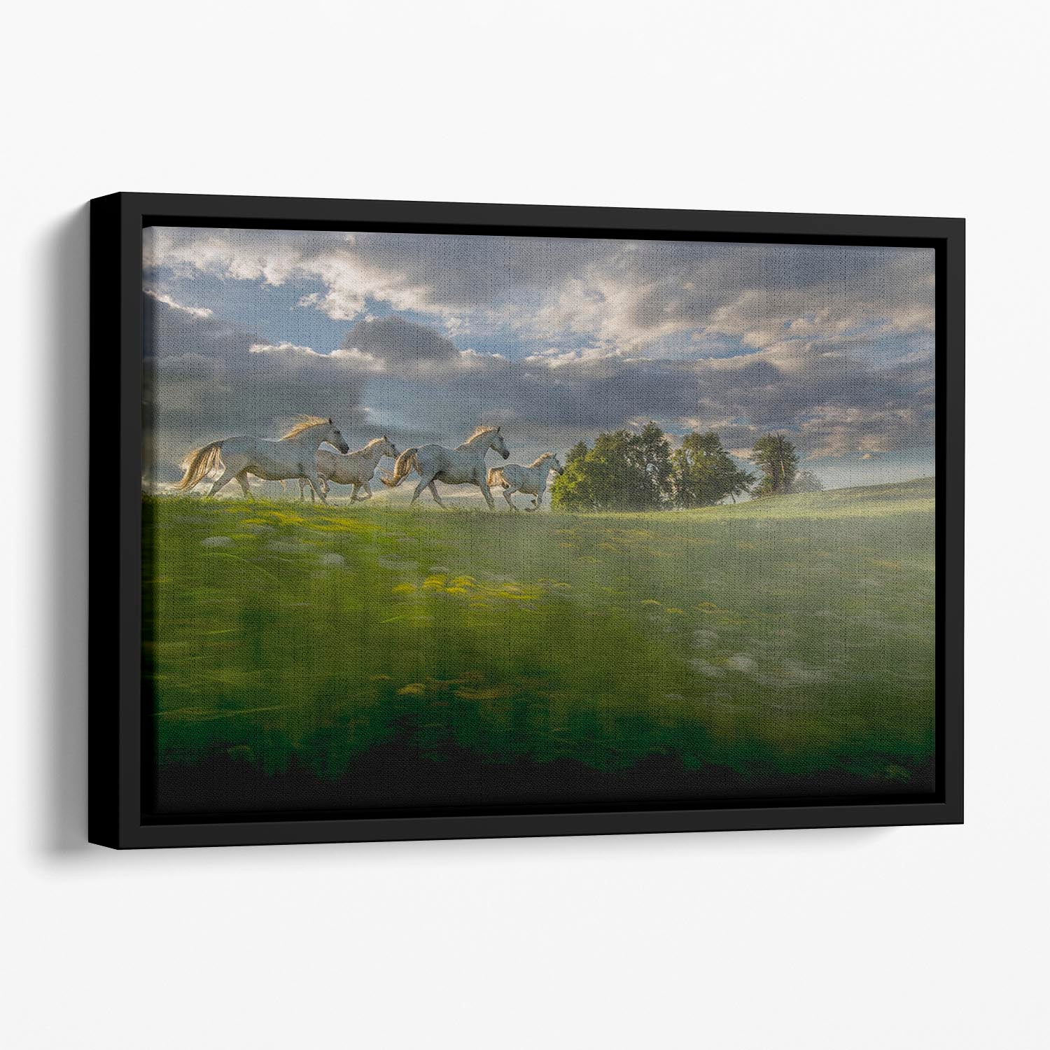 Galloping Horses Floating Framed Canvas - Canvas Art Rocks - 1