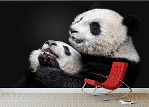 Pandas Playing Wall Mural Wallpaper - Canvas Art Rocks - 2