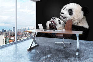 Pandas Playing Wall Mural Wallpaper - Canvas Art Rocks - 3