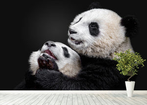 Pandas Playing Wall Mural Wallpaper - Canvas Art Rocks - 4