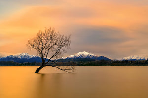 Morning Glow Of The Lake Wanaka Wall Mural Wallpaper - Canvas Art Rocks - 1