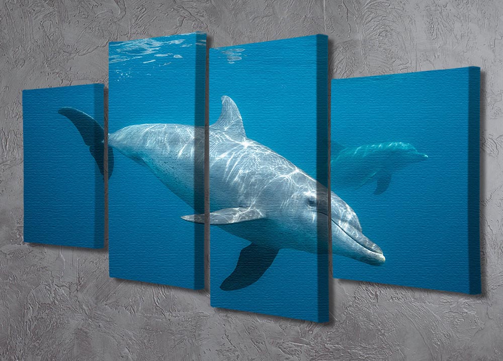 Curious Dolphin 4 Split Panel Canvas - Canvas Art Rocks - 2