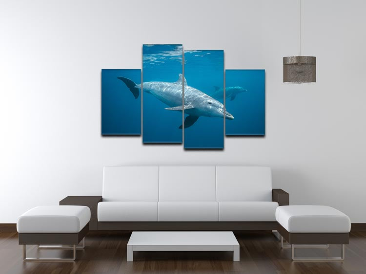 Curious Dolphin 4 Split Panel Canvas - Canvas Art Rocks - 3