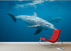 Curious Dolphin Wall Mural Wallpaper - Canvas Art Rocks - 2