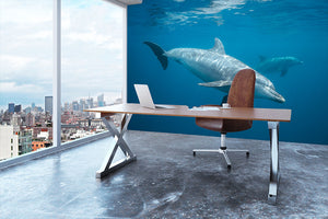 Curious Dolphin Wall Mural Wallpaper - Canvas Art Rocks - 3